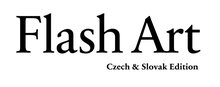 logo flash art