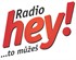 RHey_logotyp_01.jpg