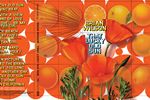 Martin Venezky, That Lucky Old Sun, 2008, přebal CD / CD packaging