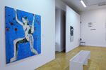 Pohled do výstavy Daniel Balabán: Zpráva 2013