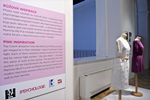 Růžová inspirace ve stálé expozici Uměleckoprůmyslového muzea - přidružená výstava k projektu Voliéra No. 1 