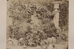 Georg Maria Eckert (1828-1901)  Zahradní schodiště s nářadím a popínavými rostlinami Ze souboru Studien nach der Natur 1870 Albuminový papír, 210x260 mm