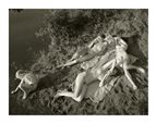 JOCK STURGES, Adele, Mylene, Vanessa et Hannah; le Porge, France, 2003