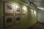 Kolegialita a kontroverze /expozice / rodný dům Josefa Hoffmanna, Brtnice