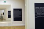 Jednotlivé místnosti expozice představují různé tematické okruhy fotografie a umění v 19. století