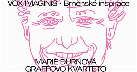 vox imaginis zari 2017